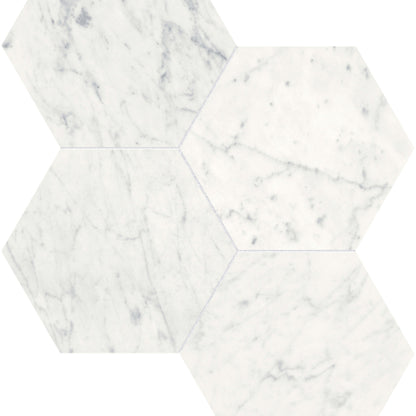 Eterna Bianco in Hexagon Mosaic 6in Polished Natural Stone
