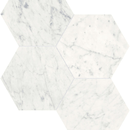 Eterna Bianco in Hexagon Mosaic 6in Polished Natural Stone