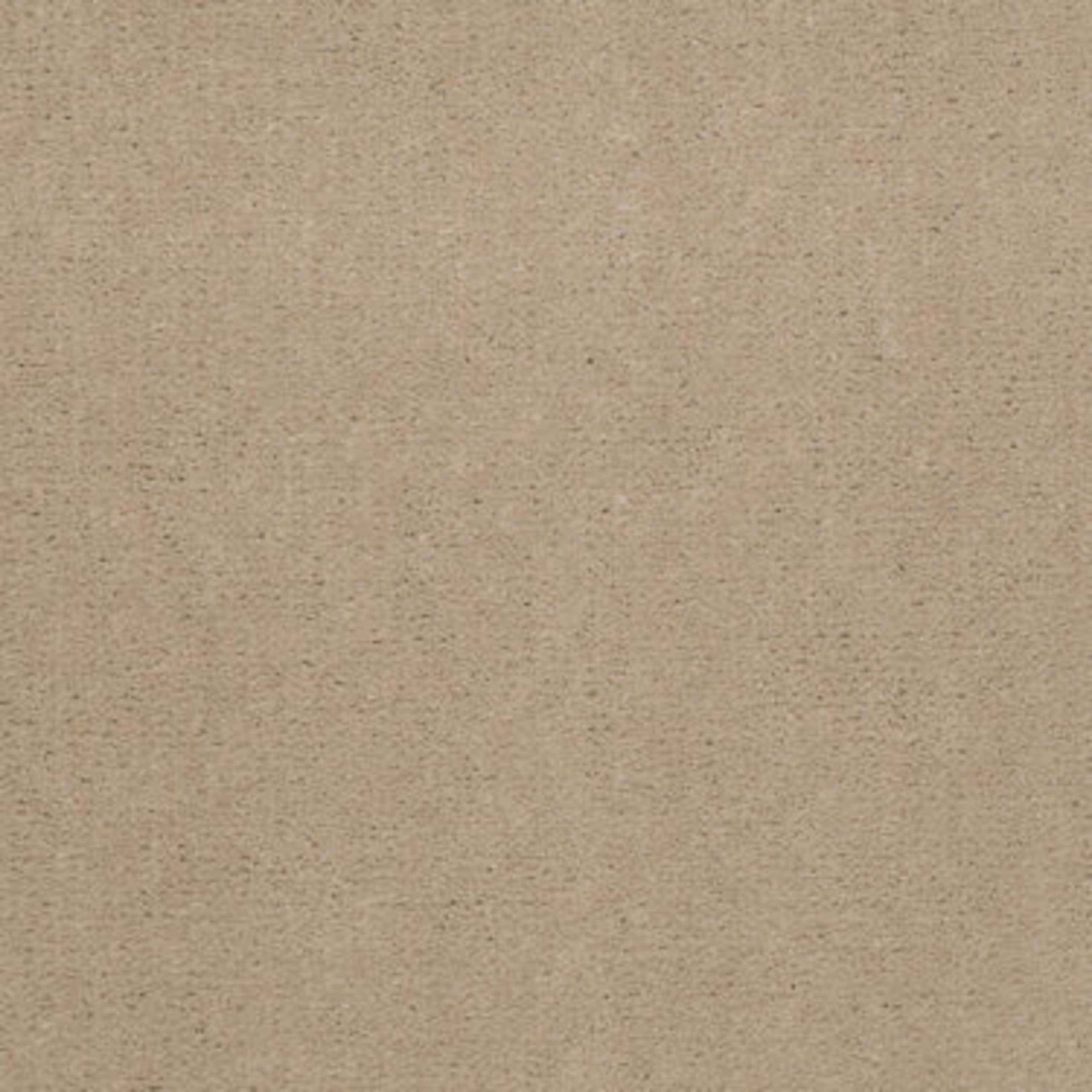 Emphatic 30 in Blondwood Carpet