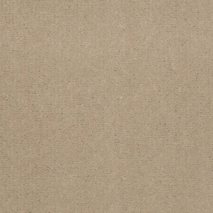 Emphatic 30 in Blondwood Carpet