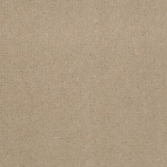 Emphatic 30 in Blondwood Carpet