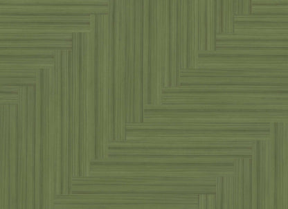 COLOR SCOPE 5 in Cactus