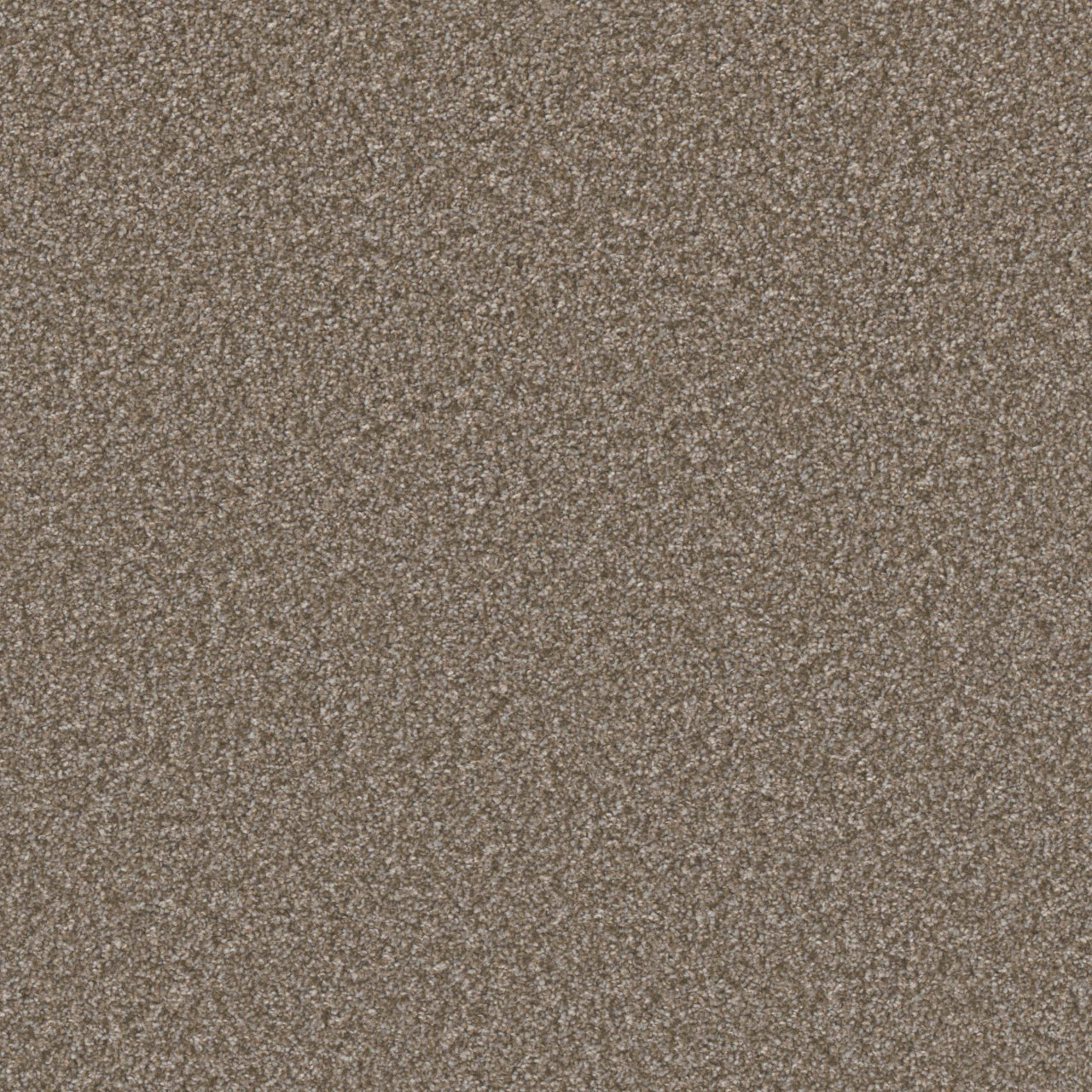 Excalibur I in Terestial Carpet