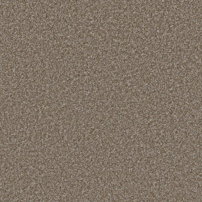 Excalibur I in Terestial Carpet