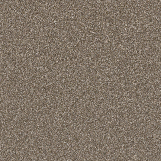 Excalibur I in Terestial Carpet