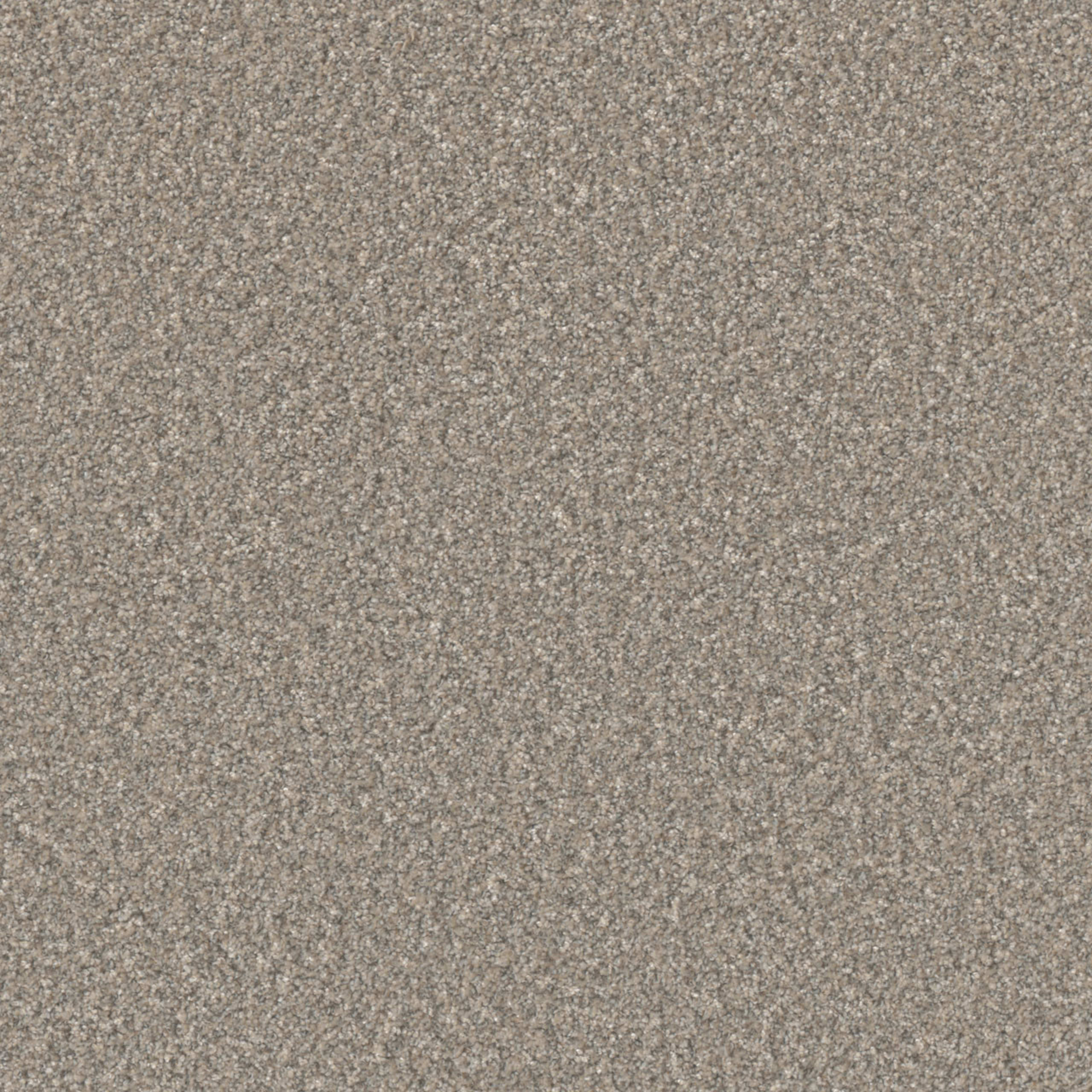 Excalibur III in Breezeway Carpet
