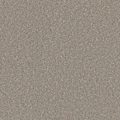 Excalibur III in Breezeway Carpet