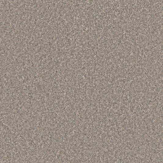 Excalibur III in Breezeway Carpet
