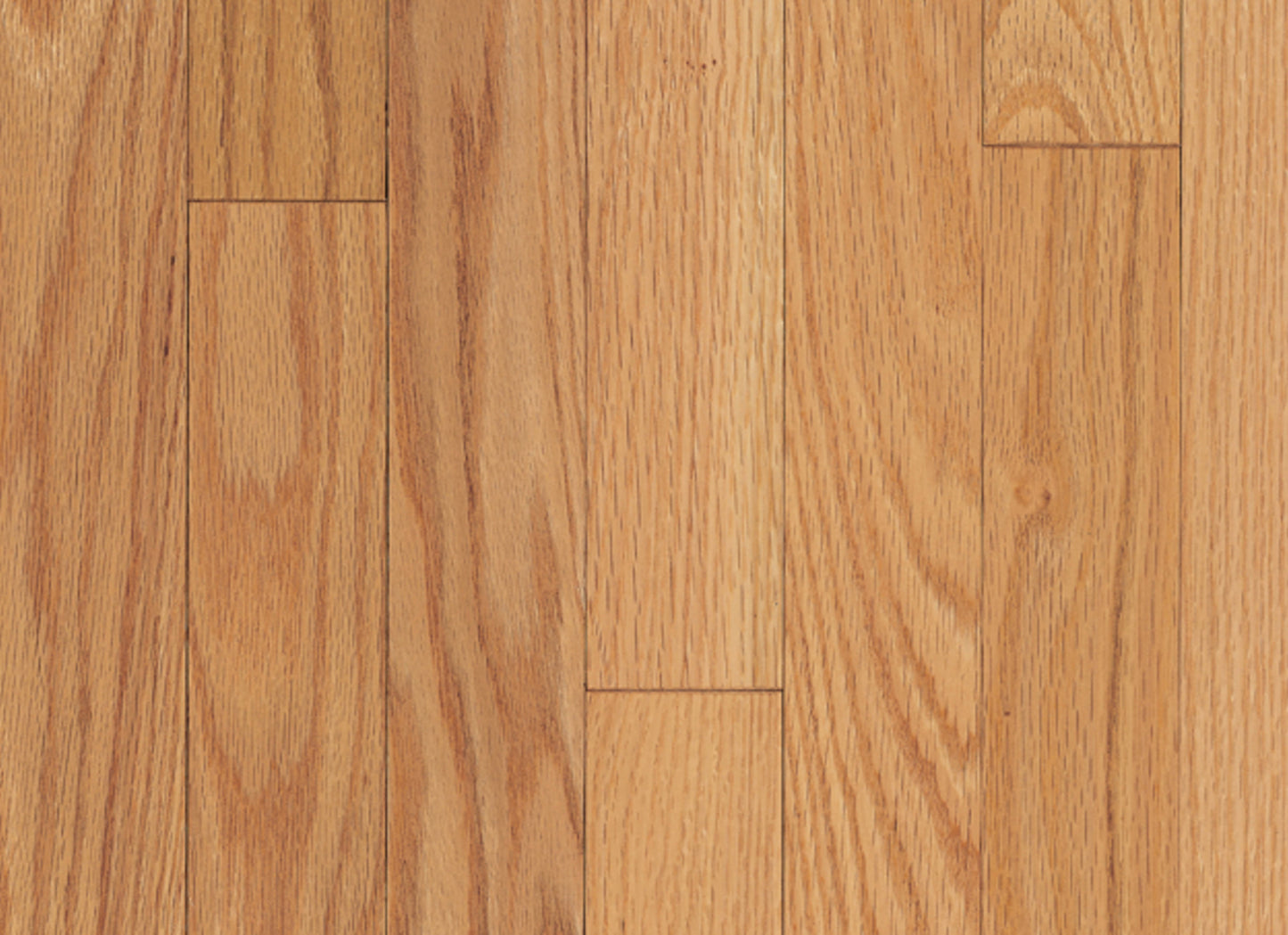 Ascot Strip Red Oak Solid in Natural