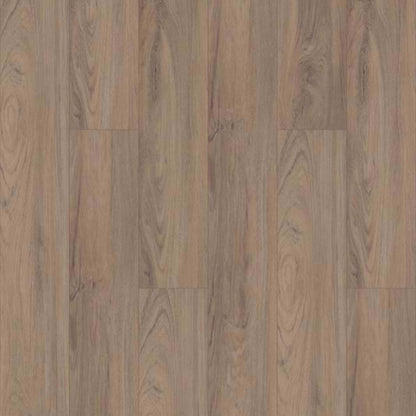 ANTICA HD PLUS in Fiano Luxury Vinyl