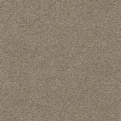 Clear Skies II in Warm Teak Carpet