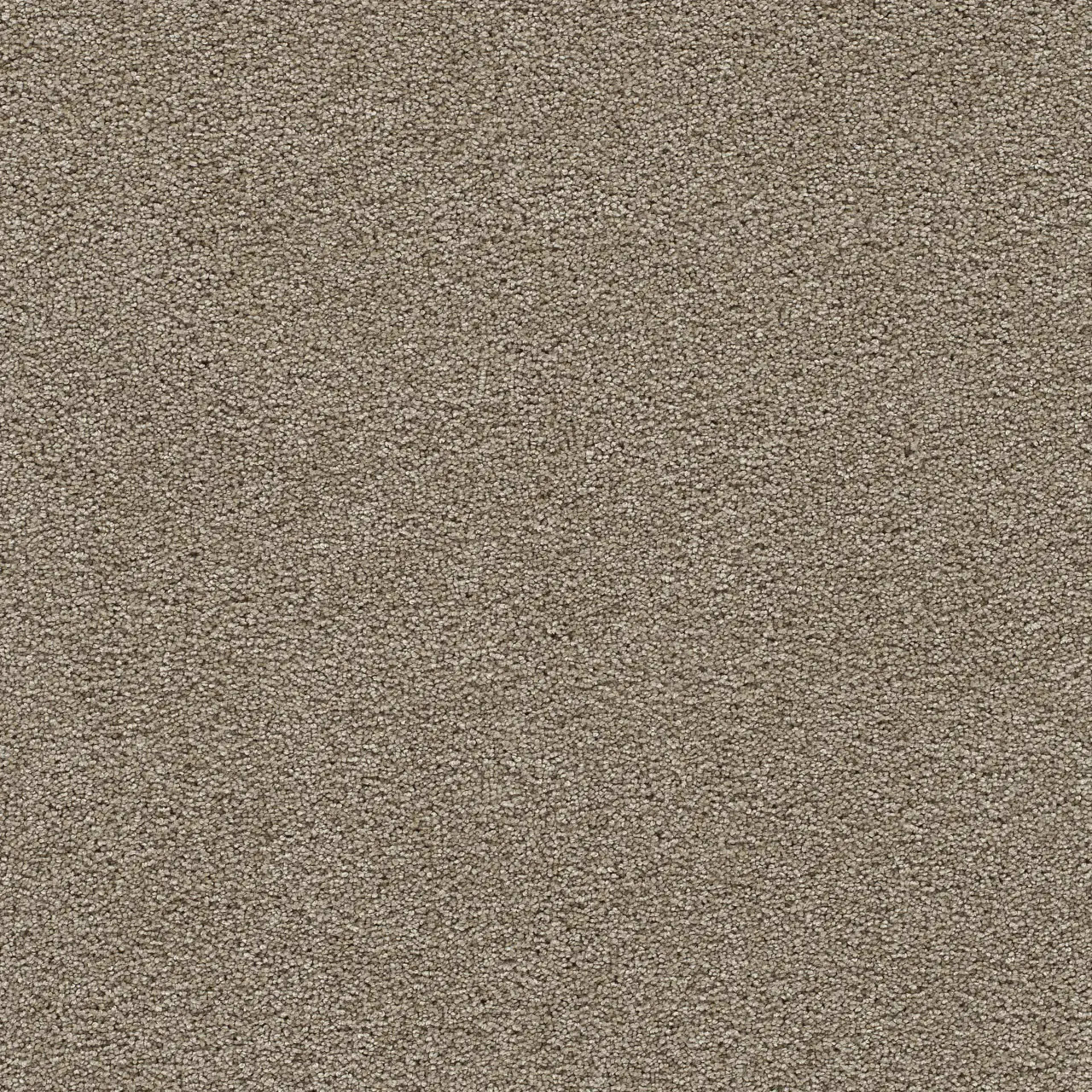 Clear Skies III in Warm Teak Carpet