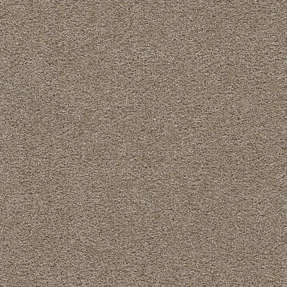 Clear Skies III in Warm Teak Carpet