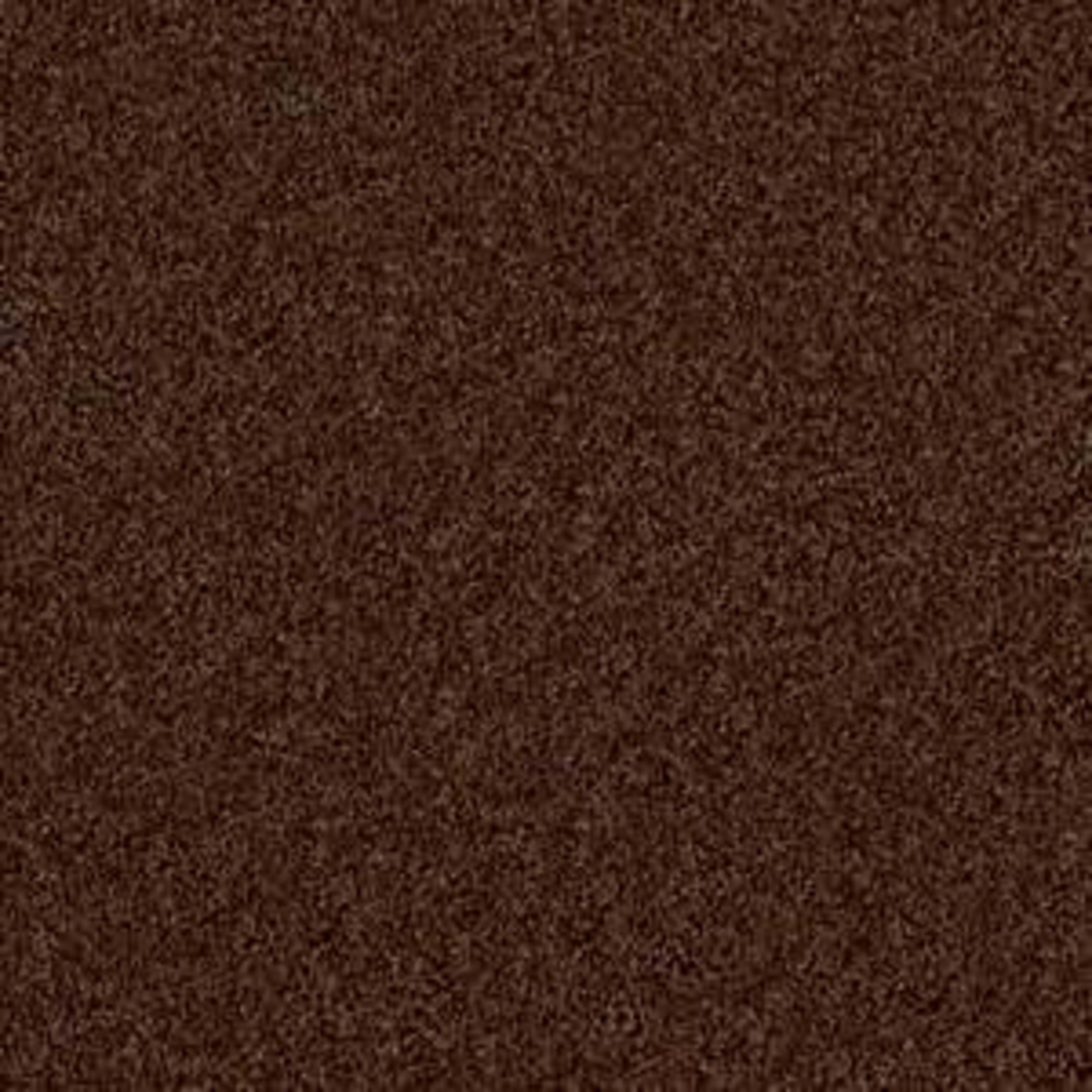 Woodsboro in Mocha Carpet