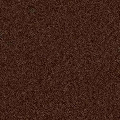 Woodsboro in Mocha Carpet