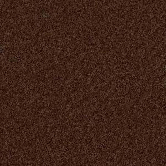 Woodsboro in Mocha Carpet