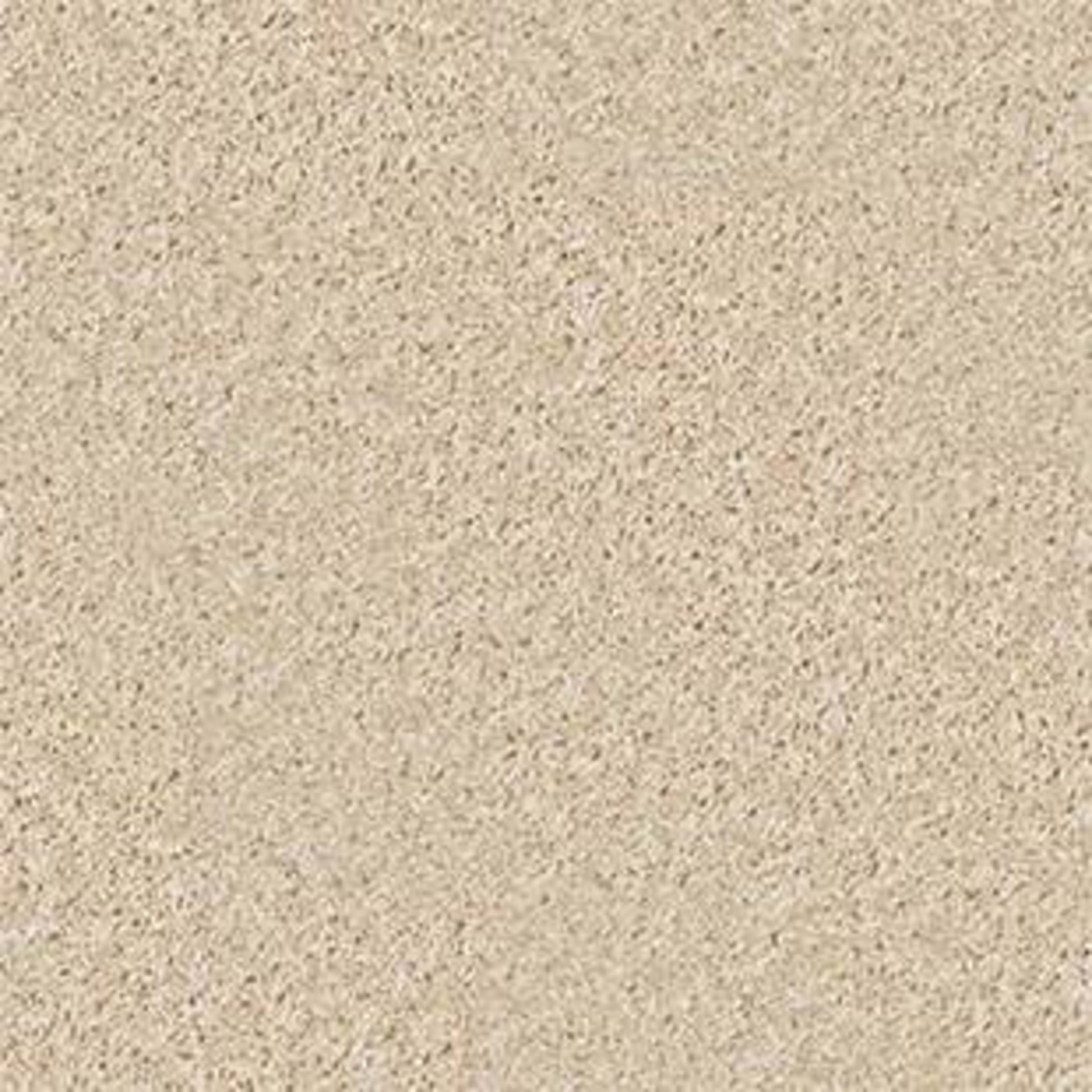 Colesville 12' in Rice Paper Carpet