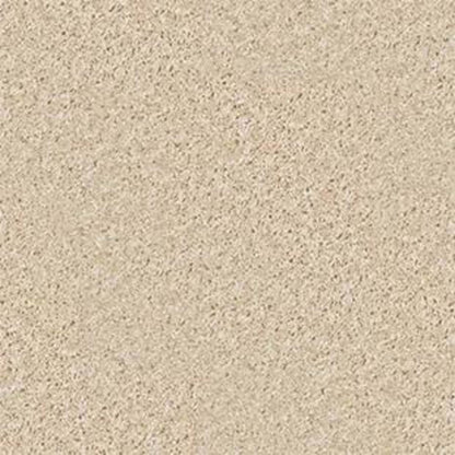 Colesville 12' in Rice Paper Carpet