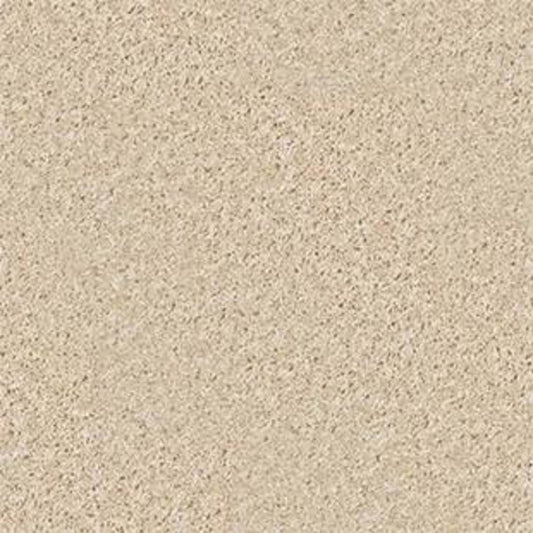 Colesville 12' in Rice Paper Carpet