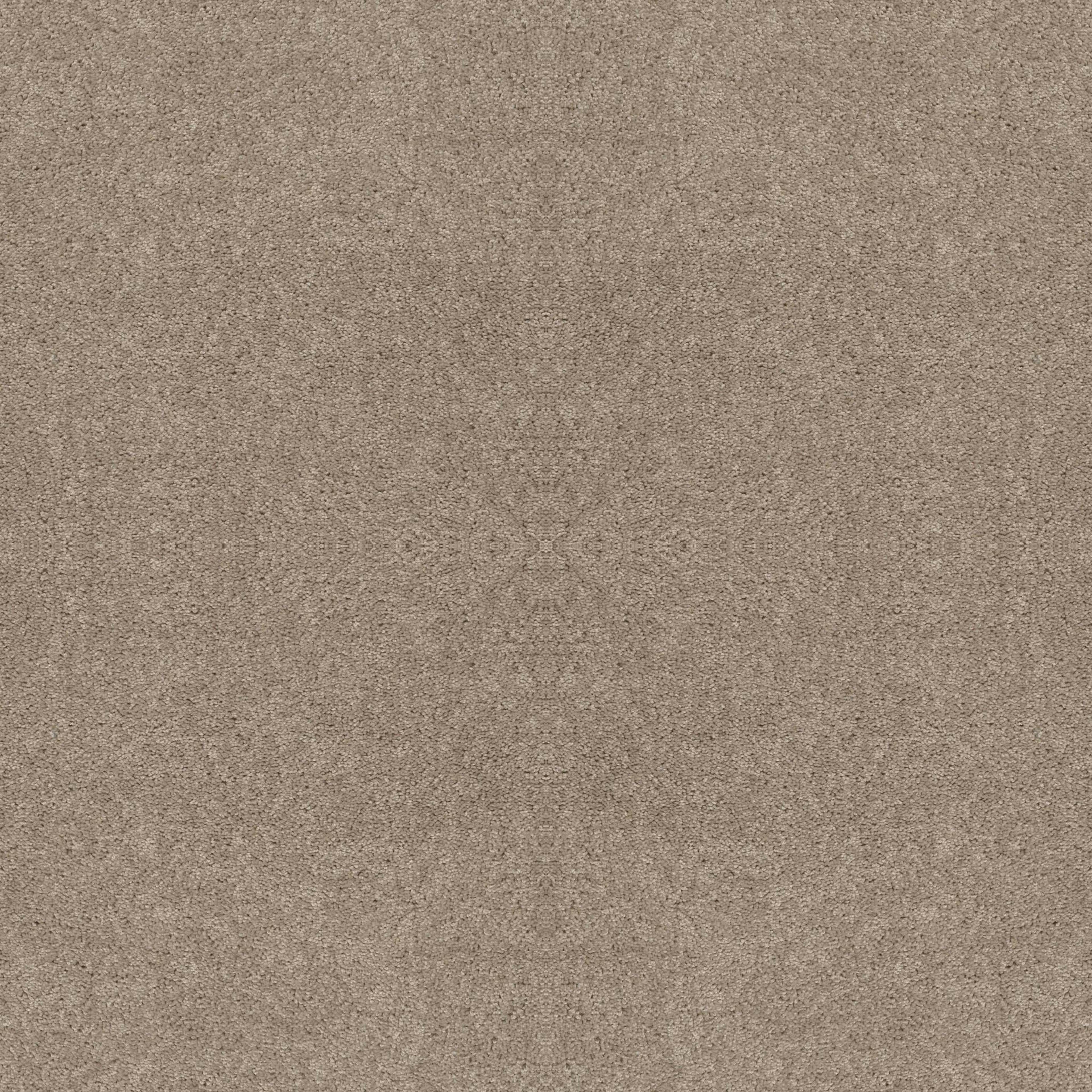 FULL COURT 12' in Bare Mineral Carpet