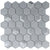 Monet Magic in Foggy Hex Glass Tile