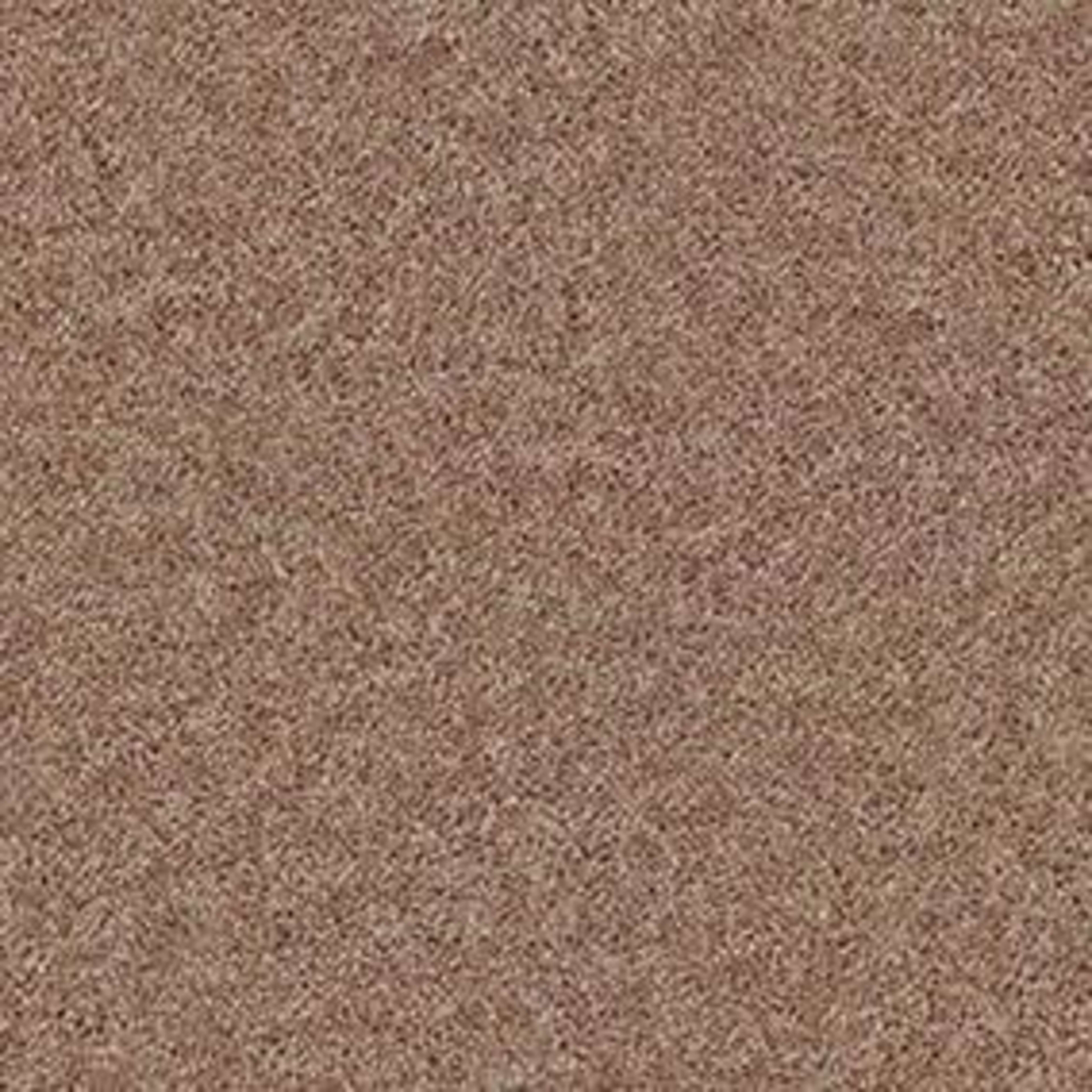 Fielder's Choice 12' in Rio Grande Carpet