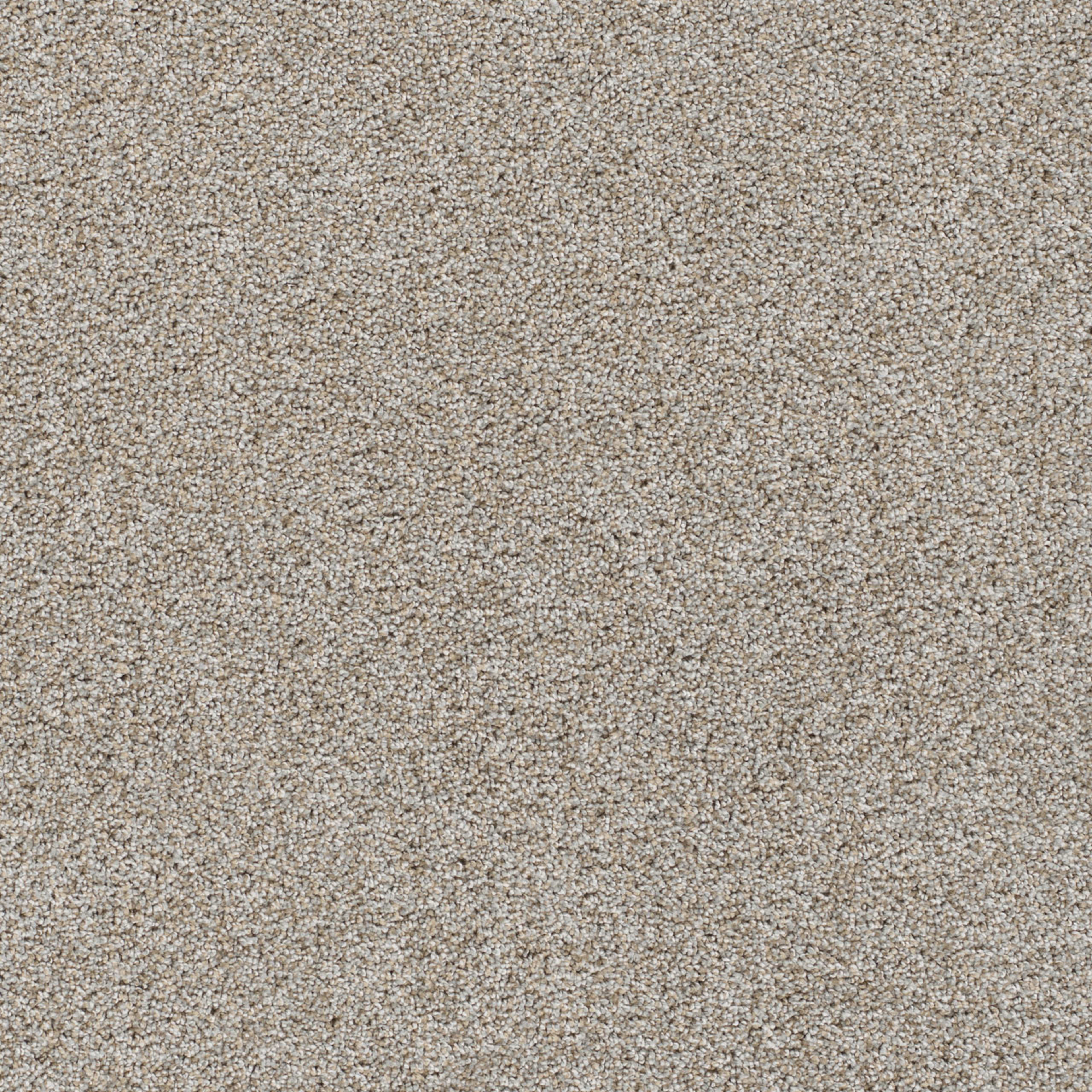 Reflections I in Iron Frost Carpet
