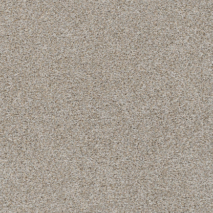 Reflections I in Iron Frost Carpet