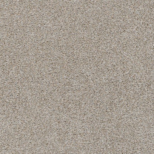 Reflections I in Iron Frost Carpet