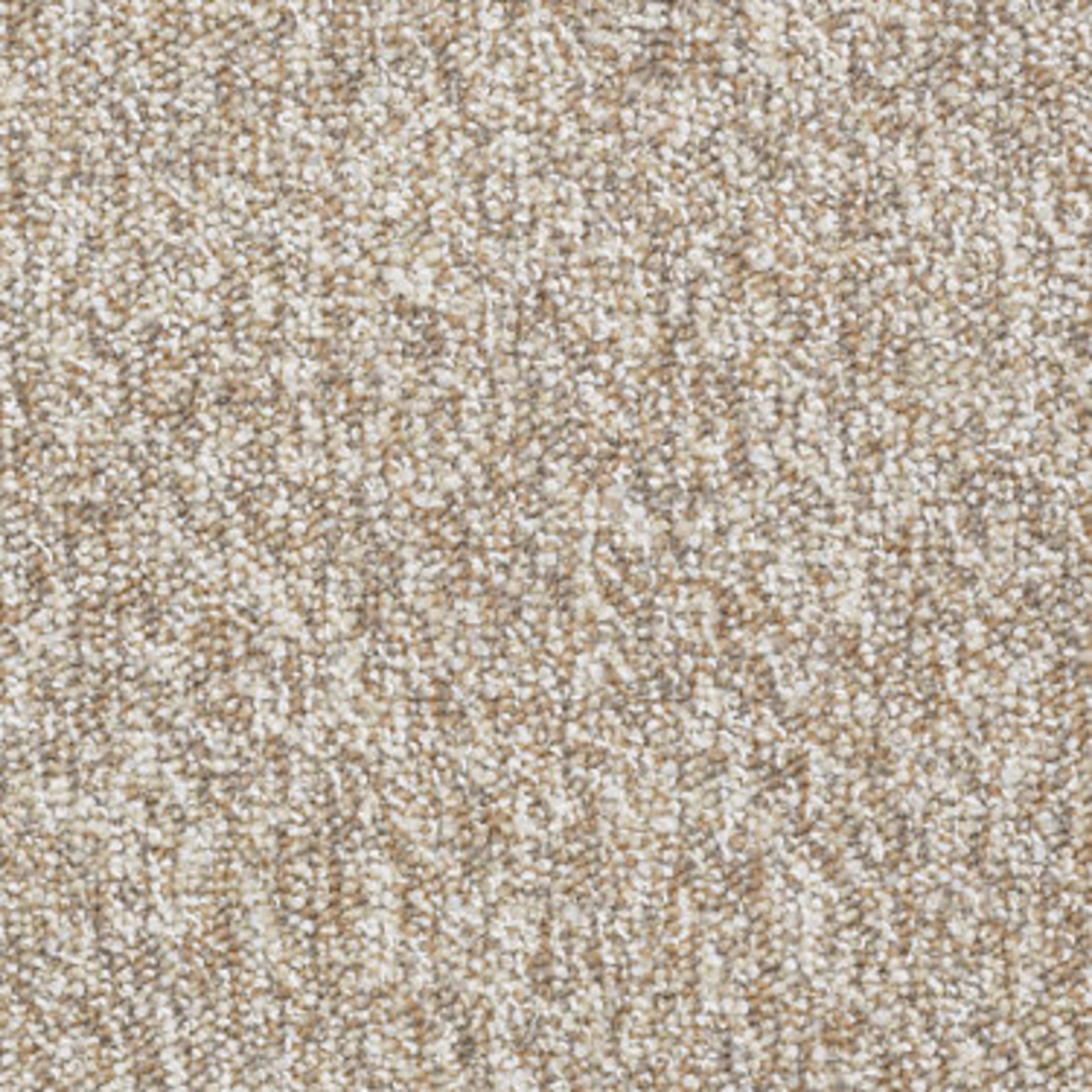Franchise in Haystack Carpet