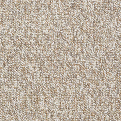 Franchise in Haystack Carpet