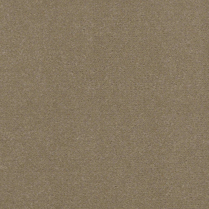 Emphatic II 36