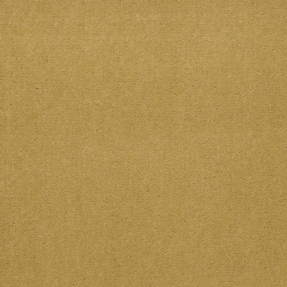 Emphatic II 36