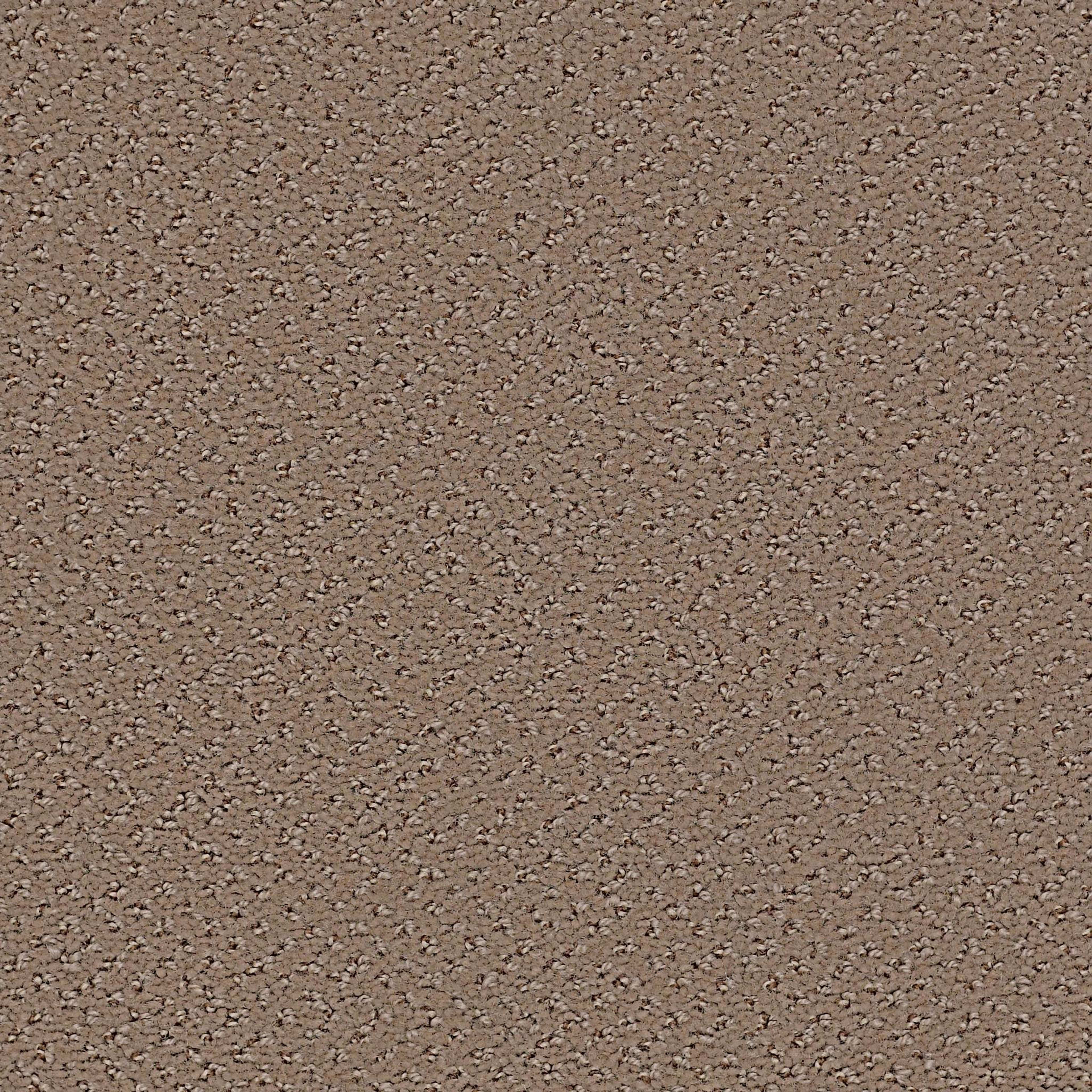 Legend Falls in Shore Line Carpet