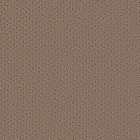 Legend Falls in Shore Line Carpet