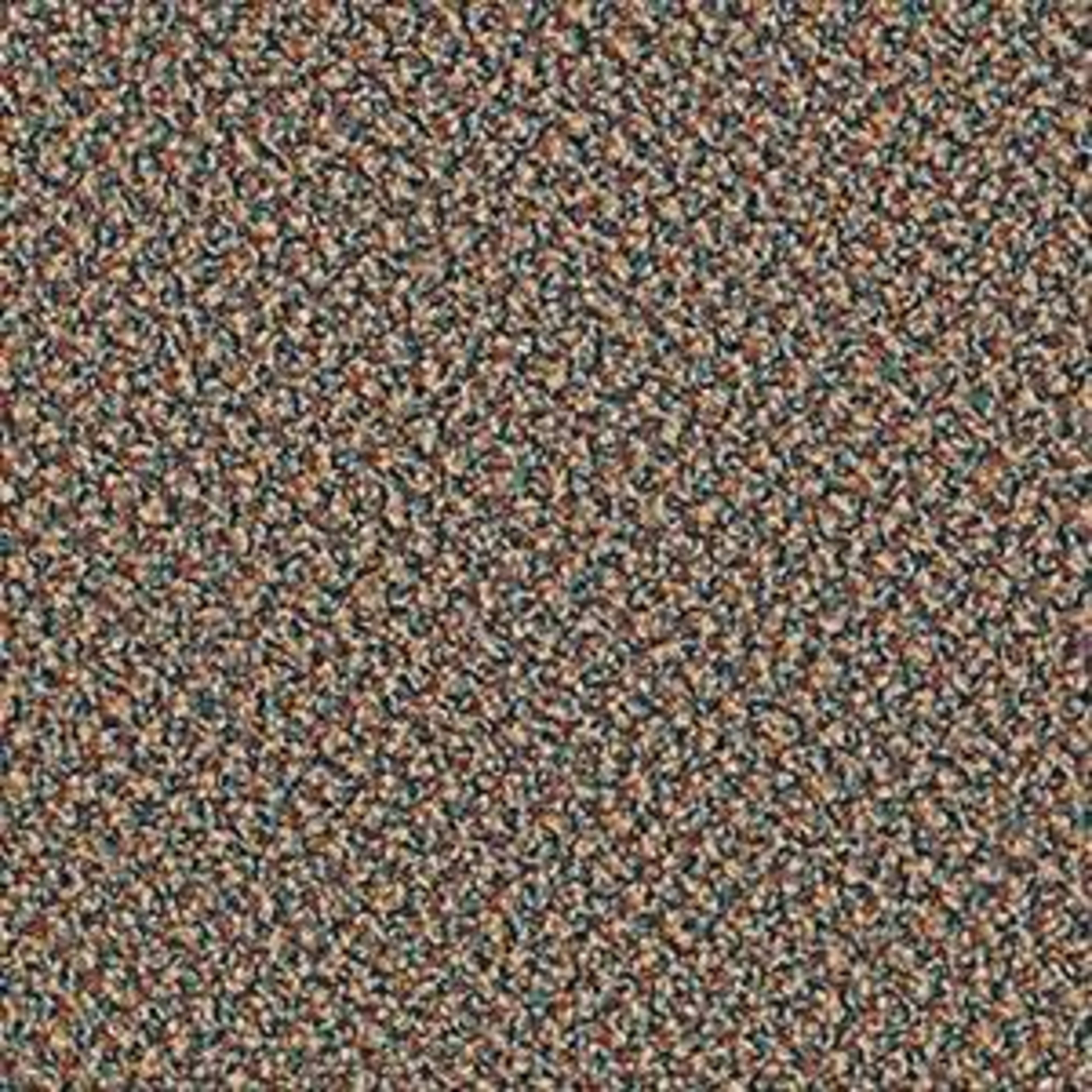 Speak Easy in Gentle Carpet