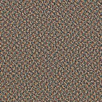 Speak Easy in Gentle Carpet