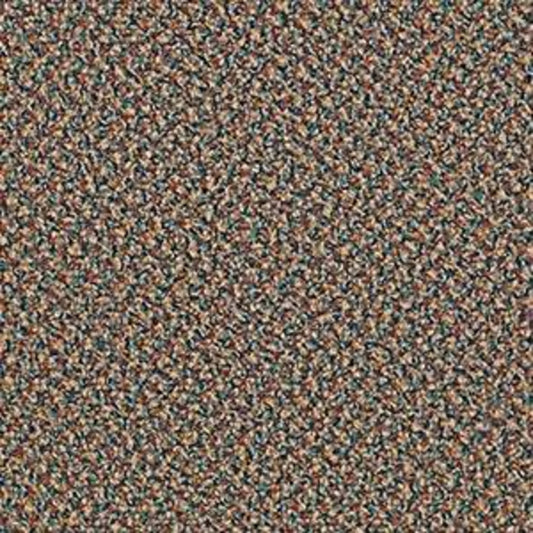 Speak Easy in Gentle Carpet
