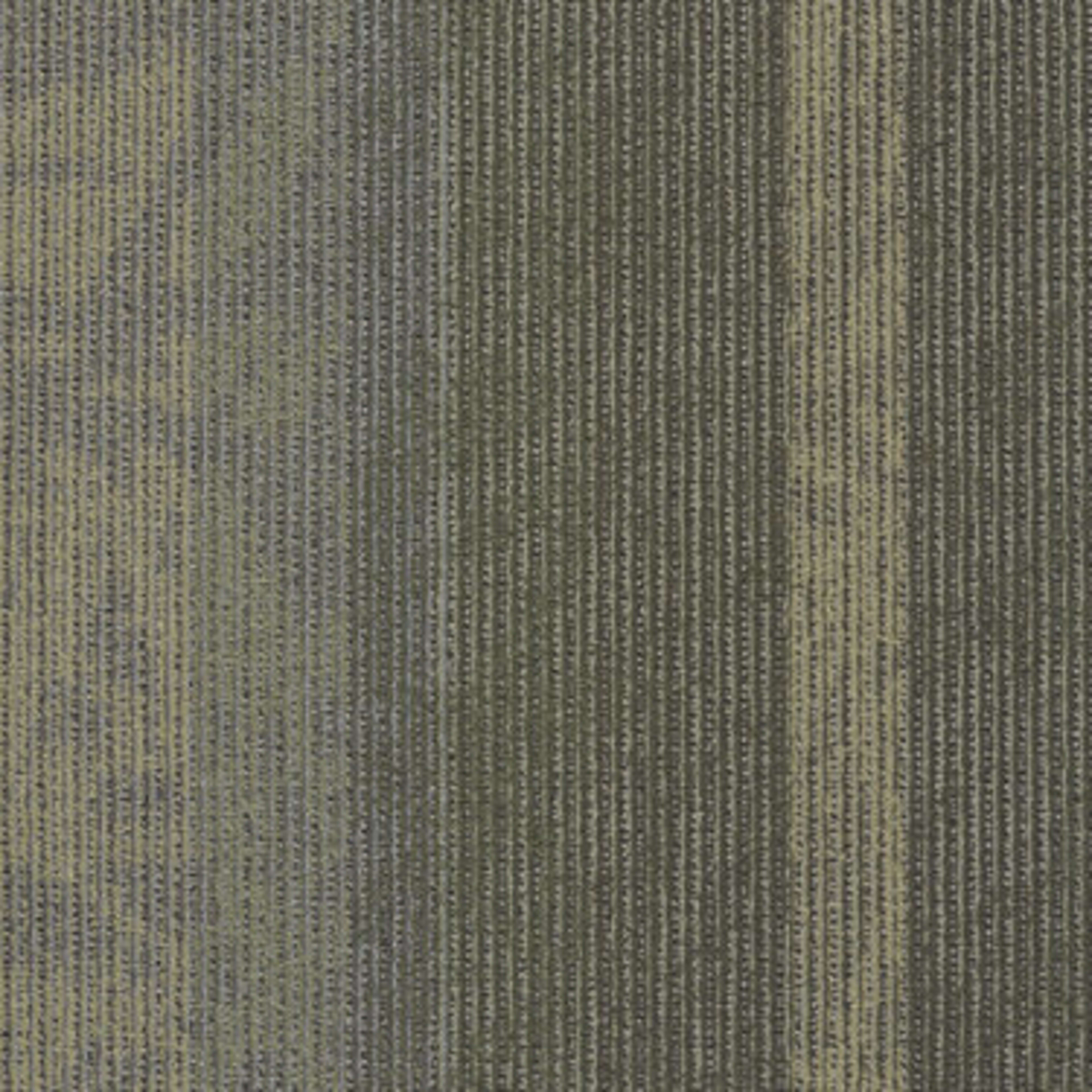 Static in Signal Carpet