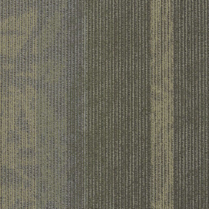 Static in Signal Carpet