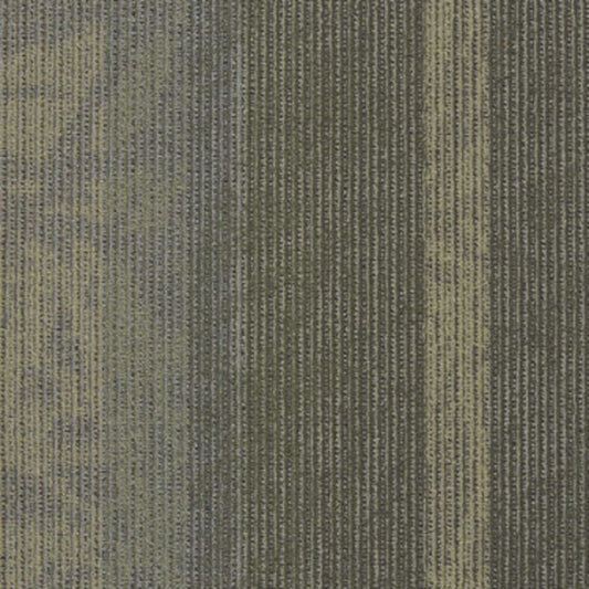 Static in Signal Carpet