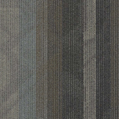 Feedback in Velocity Carpet