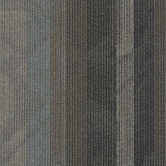 Feedback in Velocity Carpet