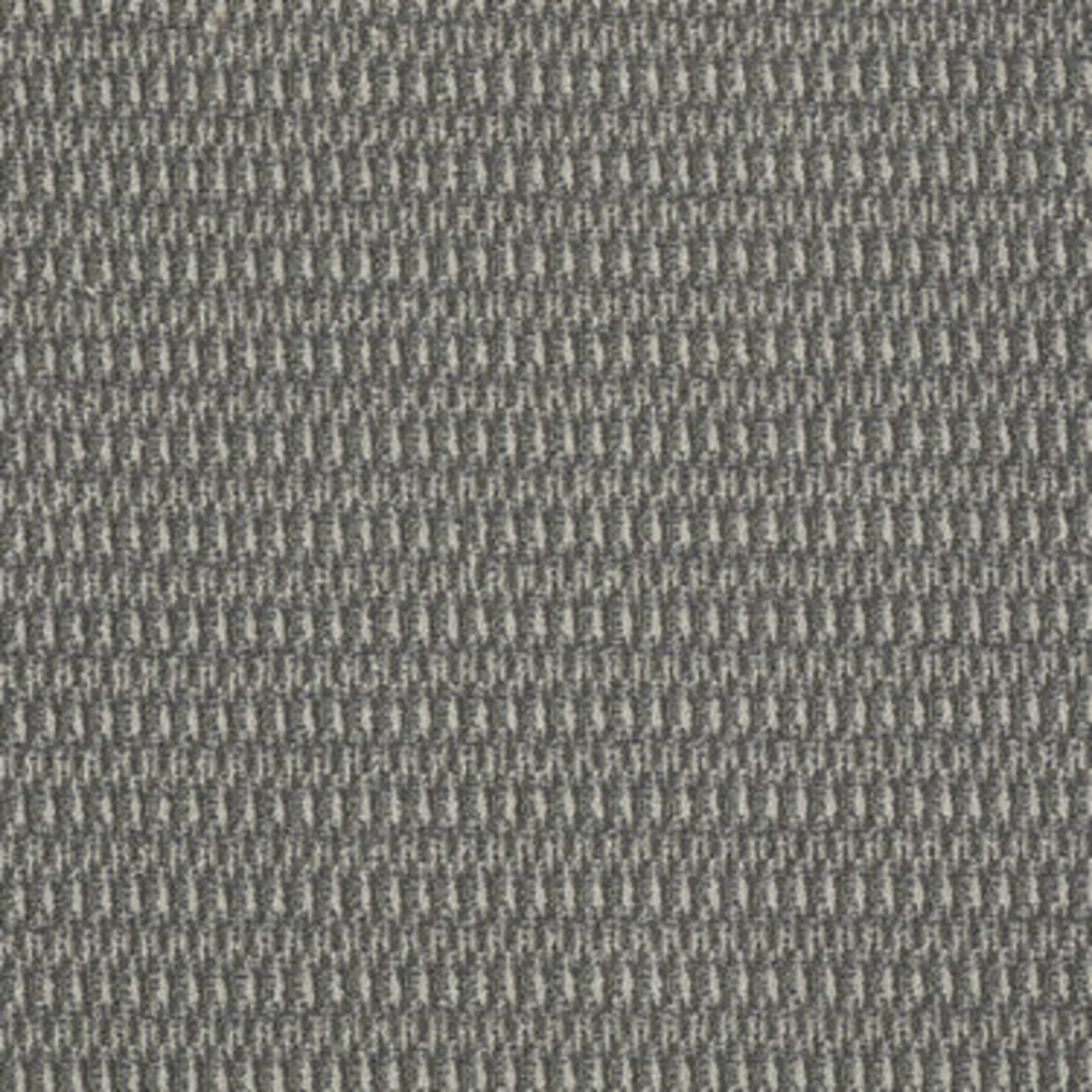 In Harmony in Blended Carpet