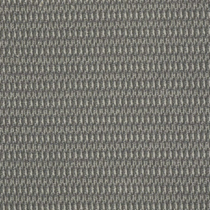 In Harmony in Blended Carpet