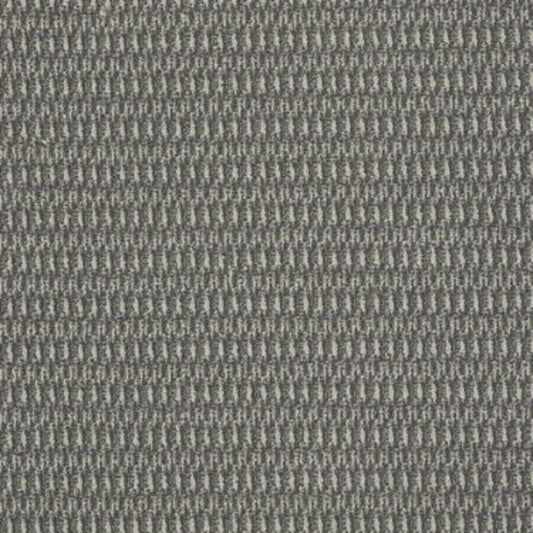 In Harmony in Blended Carpet