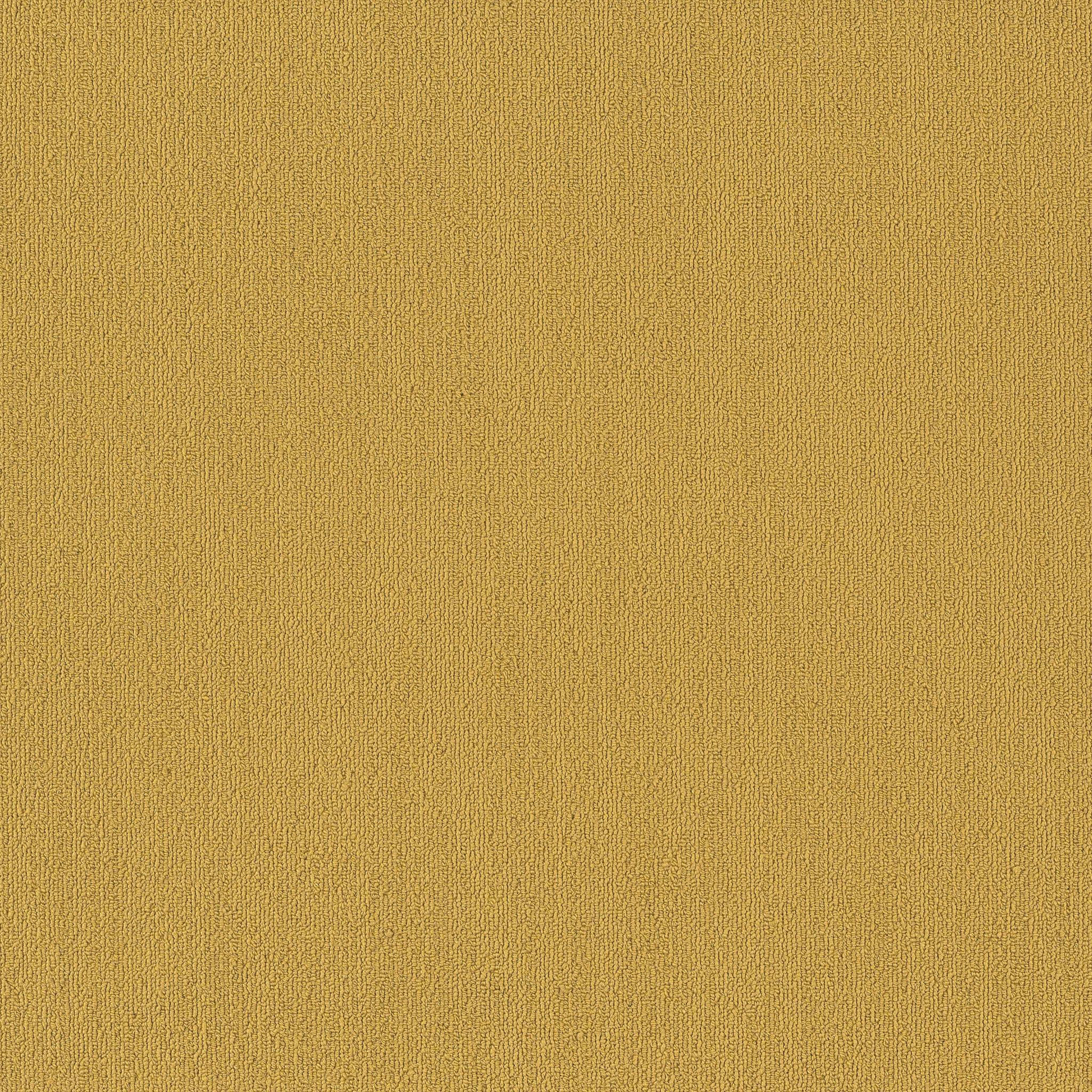 Color Accents Bl in Ochre Carpet