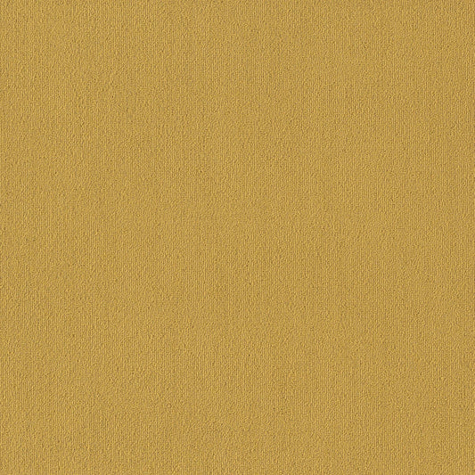 Color Accents Bl in Ochre Carpet