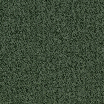 Color Accents Bl