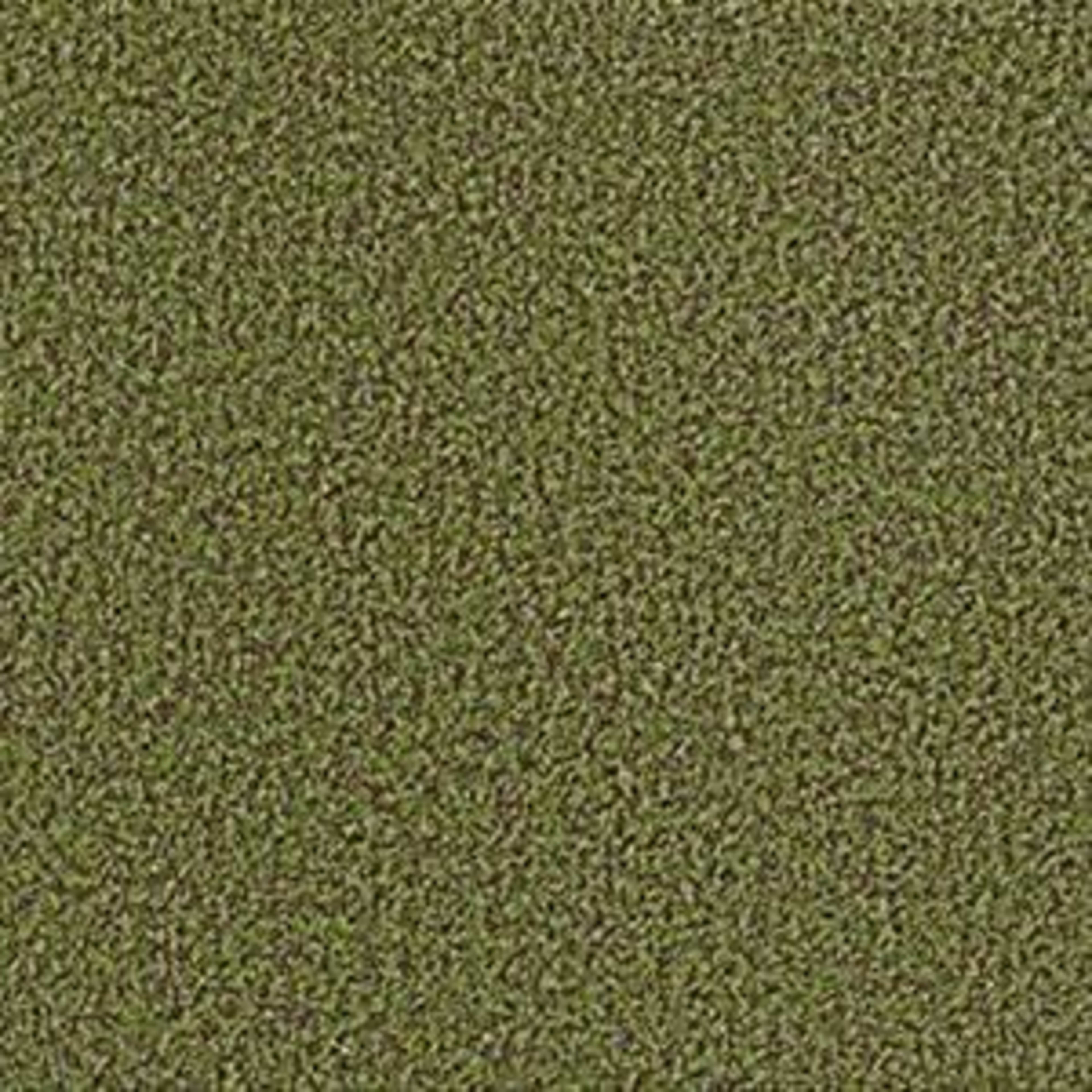 Arbor View (T) in Mossy Bark Carpet